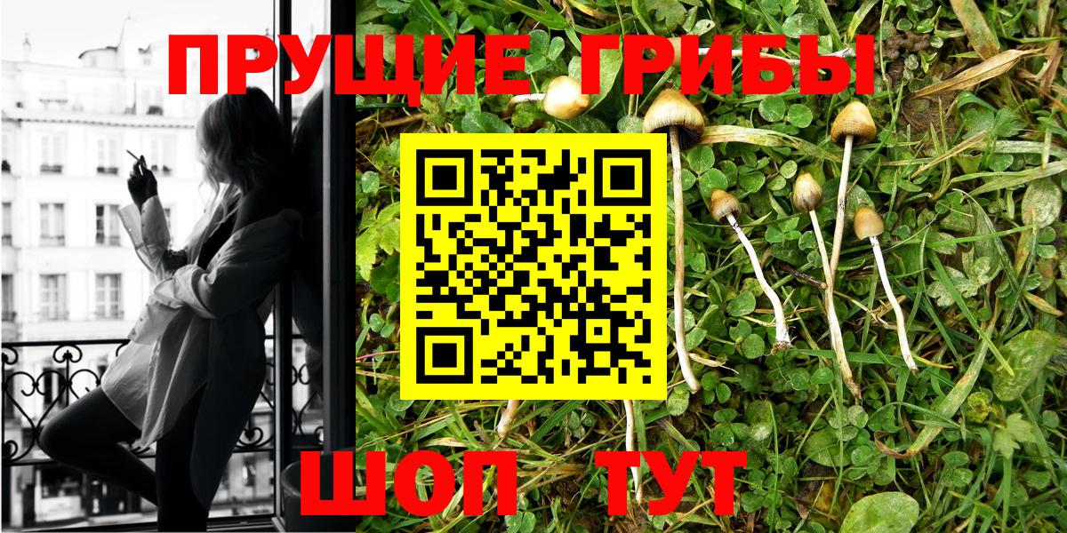 Псилоцибиновые грибы MAGIC MUSHROOMS  Вход с VPN  Галлюциногенные грибы GOLDEN TEACHER  Усть-Джегута 