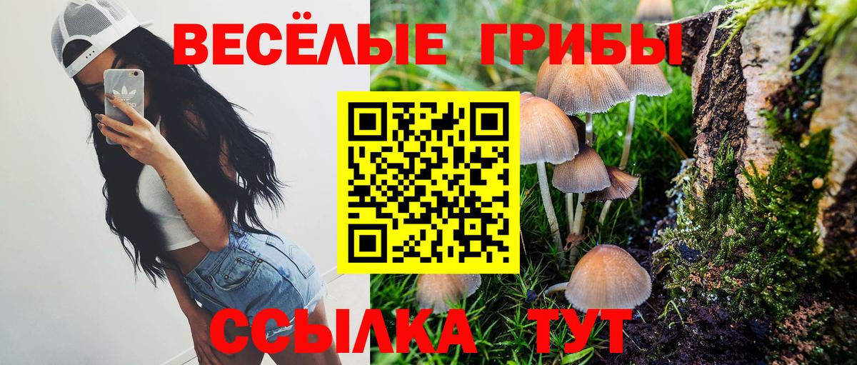 Псилоцибиновые грибы MAGIC MUSHROOMS Усть-Джегута