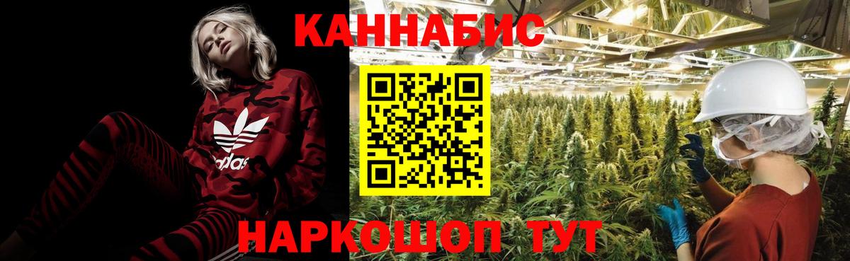 Усть-Джегута  Бошки марихуана сатива  Канабис OG Kush  Вход с VPN 
